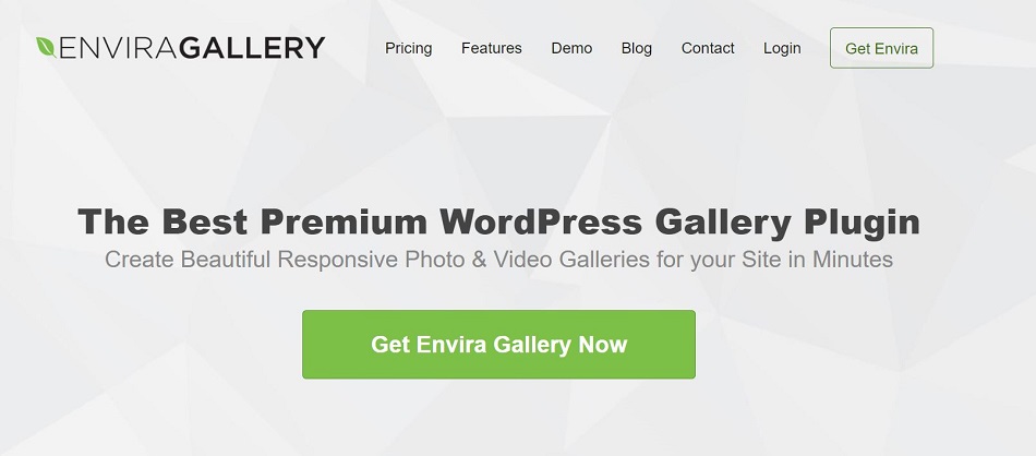 Envira Gallery plugin